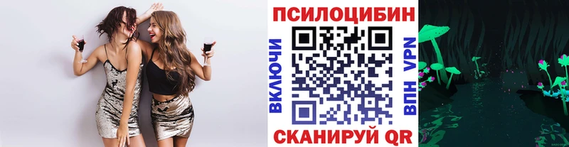 Галлюциногенные грибы Psilocybe гидра как зайти Каргат